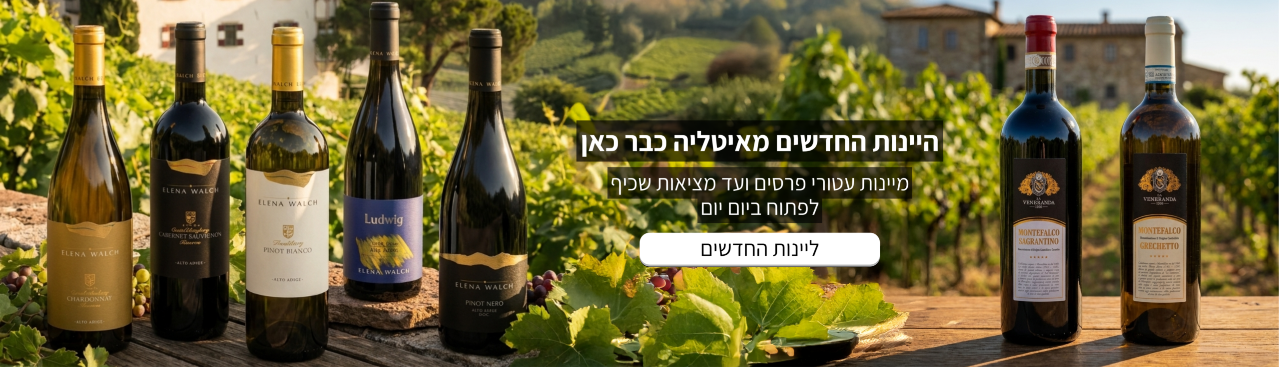Copy of Peach futuristic cart page wine product website template (2000 x 575 px) (5)