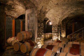 Pinot noir Aton Elena walch Superior line - Image 2